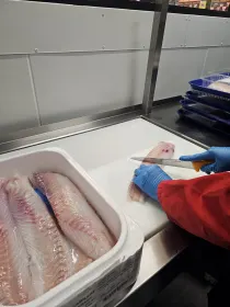 Lekker vers 🐟